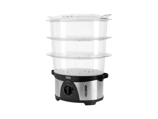 TEESA steamer