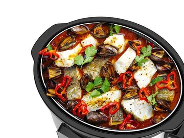 CAMRY CR 6414 SLOW COOKER