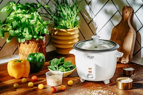 Adler AD 6418 Riskokare Svart, Rostfritt stål 1000 W
