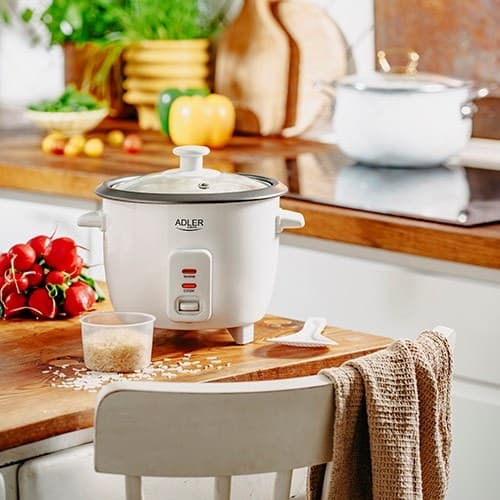 Adler AD 6418 Riskokare Svart, Rostfritt stål 1000 W