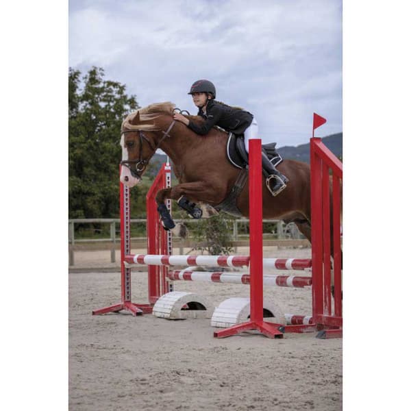 Equitheme Jakke Classic Softshell Sort 44
