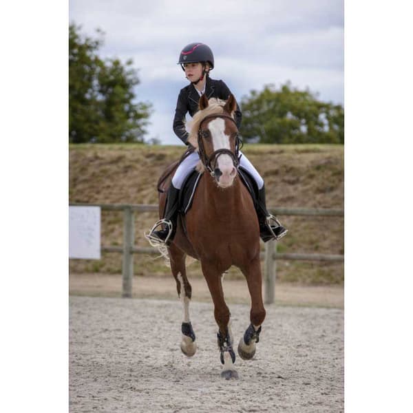 Equitheme Jacka Classic Softshell Svart 48