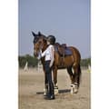 Miniatyrbild 10 av 10: Equitheme Ridbyxor Safir Svart 44