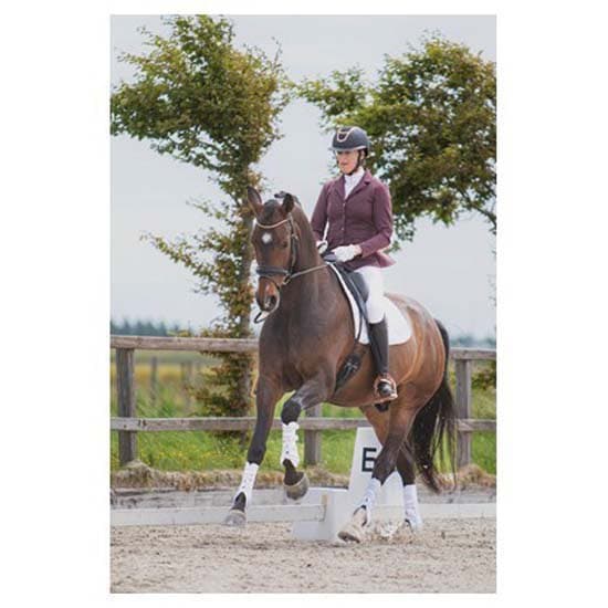 Harry´s Horse Crystal Jakke 3XL