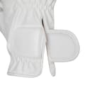 Miniatyrbillede 4 af 5: Equestro Special Soft Handsker  XS