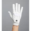 Miniatyrbillede 2 af 6: Premier Equine Mizar Handsker  XL