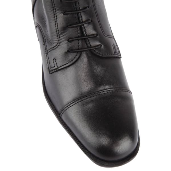 Caldene Womens/Ladies Leather Ashford Long Riding Boots