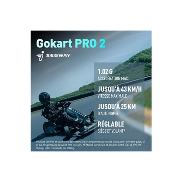 Hoverboard och Gyropod - Segway - Gokart PRO 2 - Elektrisk - 3-i-1