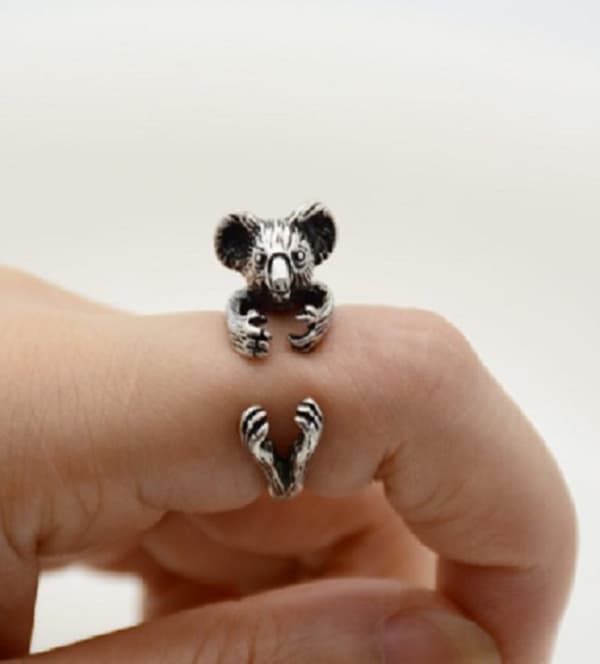 Ring Koala Djur  Djurälskare Australien Animal Ring