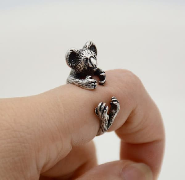 Ring Koala Djur  Djurälskare Australien Animal Ring