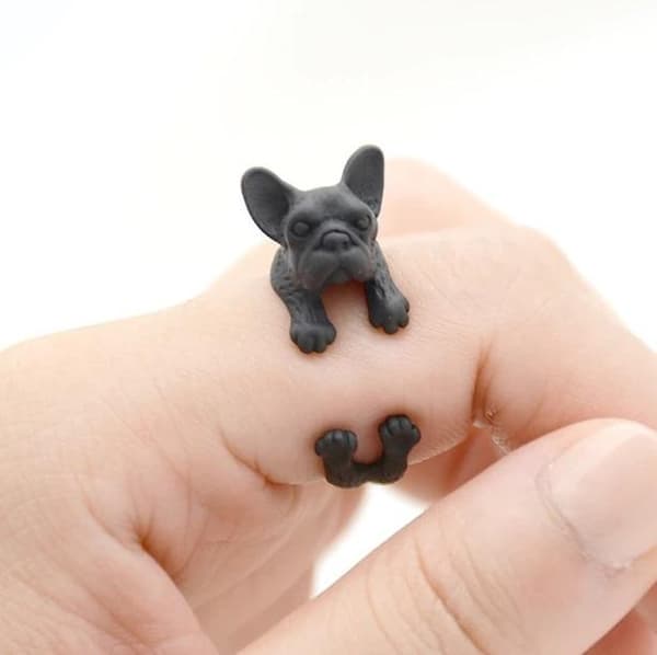 Ring Fransk Bulldog Pug Svart Hund Djurring Bostonterrier