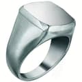 Miniatyrbillede 1 af 2: Ring til mænd Breil TJ2771 18 (18)