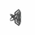 Miniatyrbillede 1 af 2: Ring til kvinder Karl Lagerfeld 5448405 (15)
