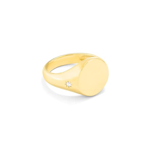 Ring til kvinder Secrecy PR102545014 14 (14)