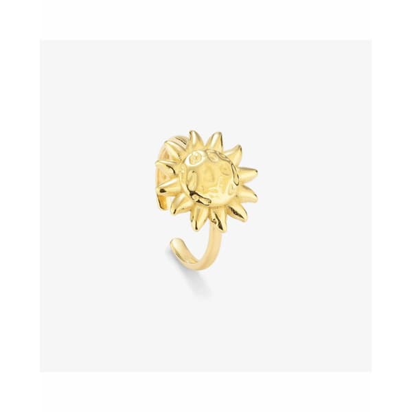 Ring til kvinder Radiant RY000150 14