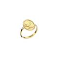 Miniatyrbillede 1 af 2: Ring til kvinder AN Jewels AAC.R01Y-5 5