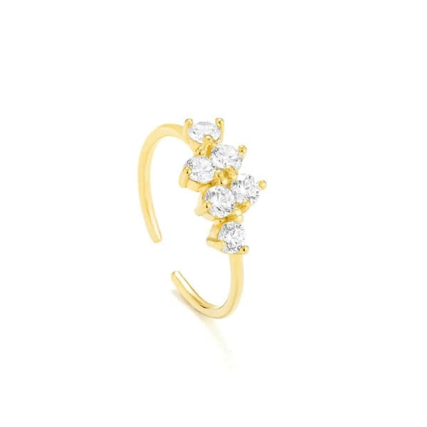 Ring til kvinder Radiant RY000006 17