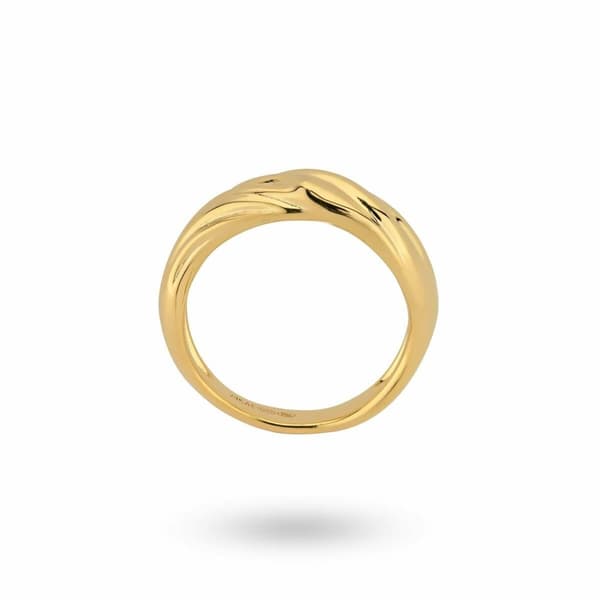 Ring til kvinder 24KAE 124142Y/56 Gylden 16