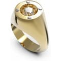 Pikkukuva 2 / 3: Avaimenperä Guess JUBR01465JWYG56 (16)