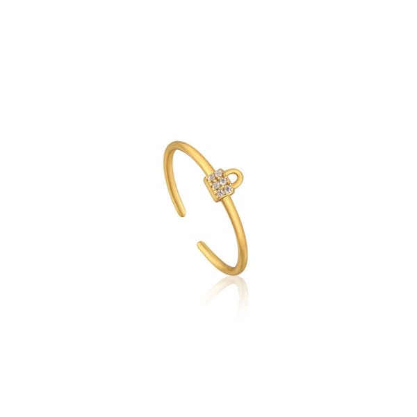 Damring Ania Haie R032-02G (13)
