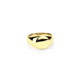 Miniatyrbild 2 av 5: Herr ring Radiant RH000131-18 18