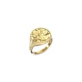 Miniatyrbillede 1 af 2: Ring til mænd AN Jewels AAC.R02Y-5 5