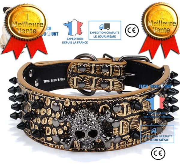 TD® Justerbar hundhalsband i konstläder med dödskalle och reflektion, med nitar, för medelstora husdjur, katt.