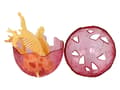 Pikkukuva 8 / 9: Dinosaur Eggs 4 Colors 16cm