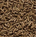 Miniatyrbillede 6 af 9: VERSELELAGA HAMSTER OG GERBIL FOOD 500G