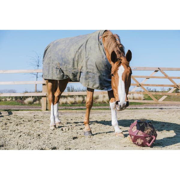 Kentucky Pelaa Ja Heinäpallo  40 cm