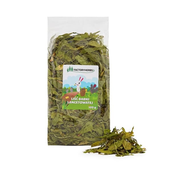 FACTORY HERBS Heinäratamo-lehdet - herkku jyrsijöille ja kaneille - 100 g
