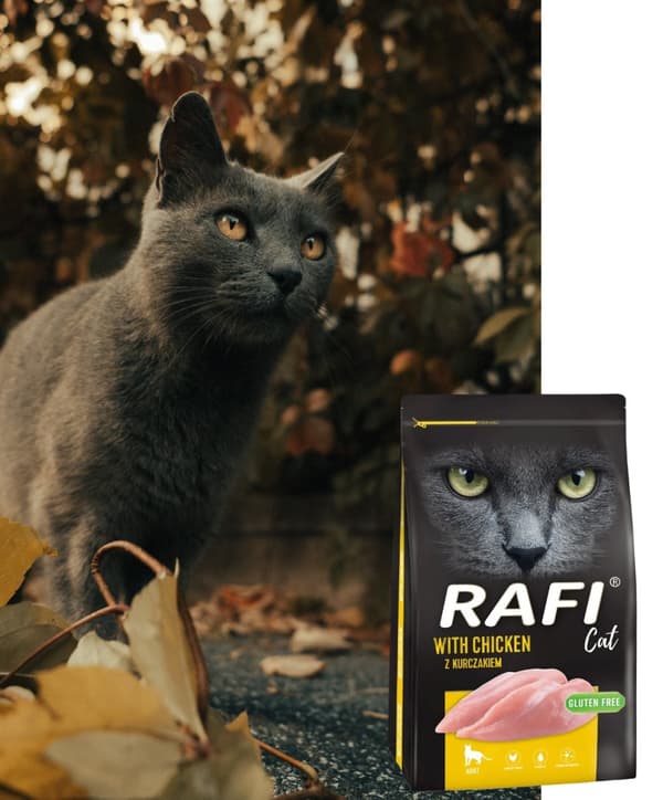 Rafi CAT Torrfoder för katter KYCKLING 7 kg