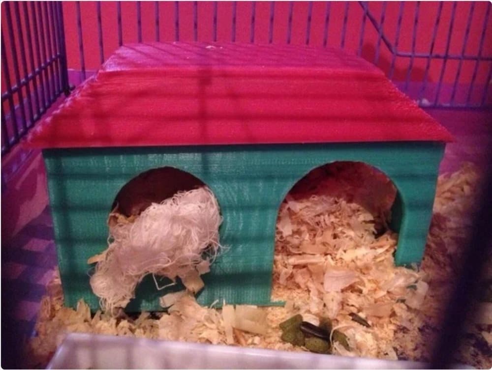 XL, Hamster House, house for hamster, rat,animals, (4 sizes)