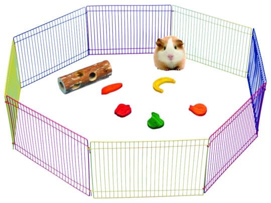 Pawise Exercise Play Pen til gnavere Det perfekte indendørs og udendørs legeområde