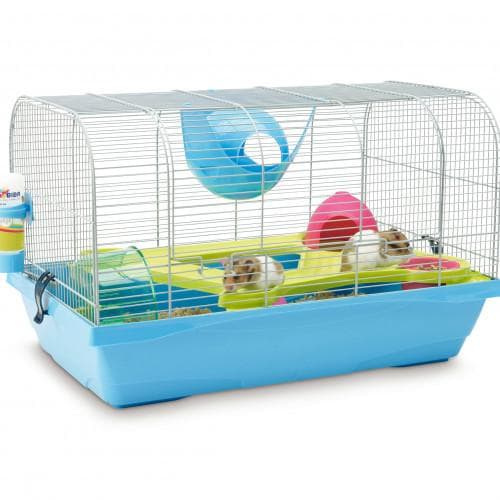 Smådjursbur Bristol