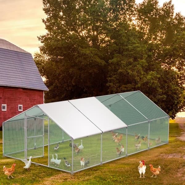 Hönshus - XMTECH - 24m² - Galvaniserat stål - Utomhus - Max 10 djur