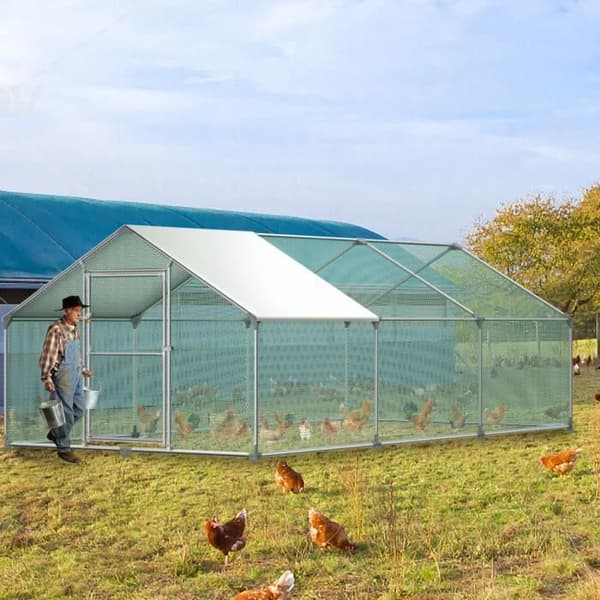 Hönshus - XMTECH - 3x6x2 m - Galvaniserat stål - Utomhus - 18 m²