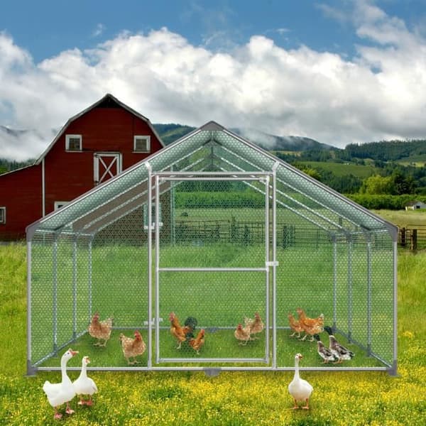 Hönshus - XMTECH - 3x6x2 m - Galvaniserat stål - Utomhus - 18 m²