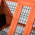 Miniatyrbillede 7 af 8: Rootz kaninhytte - Oranje - Fyrtræ - 46,46 cm x 19,69 cm x 17,72 cm