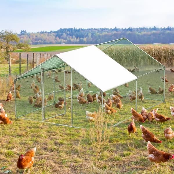 XMTECH Hönshus, 12 m² inhägnad 3x4x2 m Galvaniserat stål, Utomhushönshus