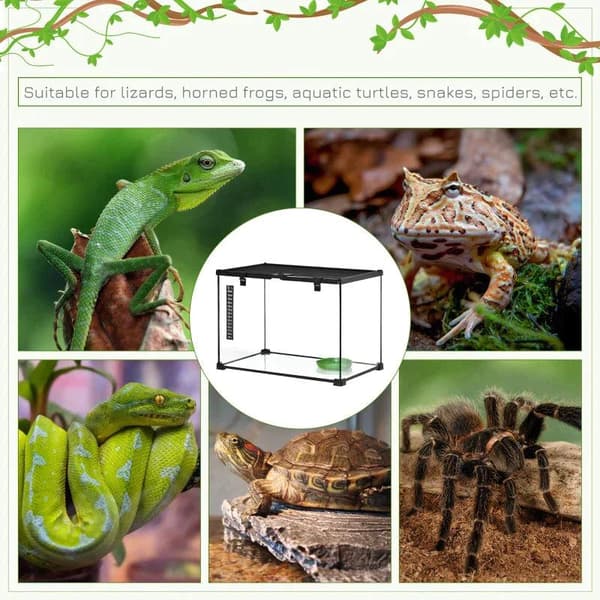 Rootz Terrarium - Terrarium för reptiler - Reptilmatningslåda - Glasterrarium - Spindeldjur med termometer Reptiluppfödningslåda - Metall - Svart - 50