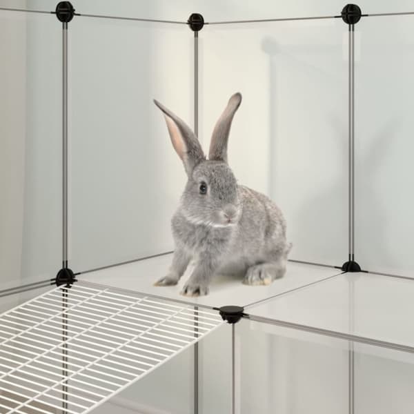 Smådjursbur transparent 143x107x93 cm PP och stål