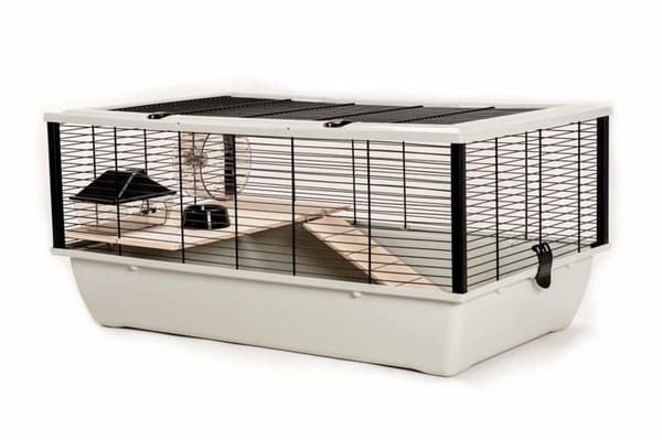 Little friends bur - TK51262 - Grosvenor rått- och hamsterbur med trähylla och stege