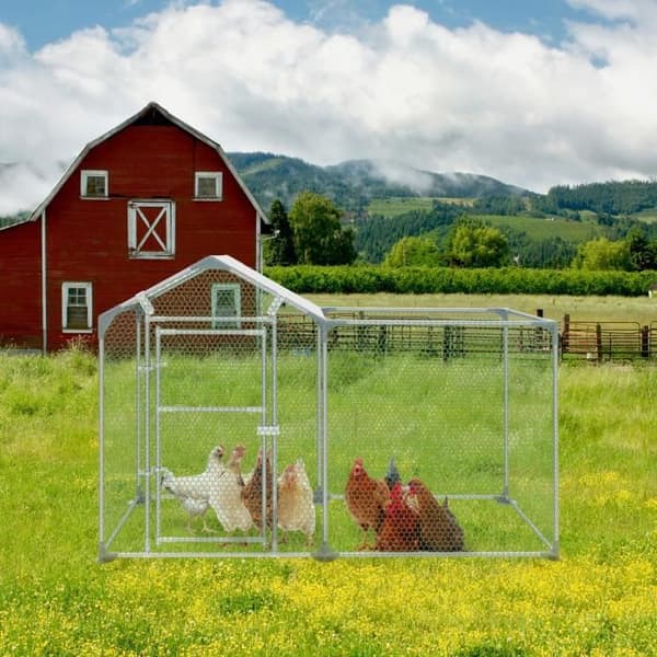 Hönshusskåp - XMTECH - 2x1x1,4 m - Galvaniserat stål - Exteriör