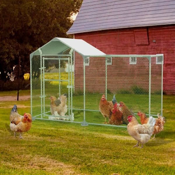 Hönshusskåp - XMTECH - 2x1x1,4 m - Galvaniserat stål - Exteriör