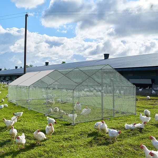Hönshus - Ej specificerat - 3x8x2m - Galvaniserat stål - Vattentät - Säker med lås
