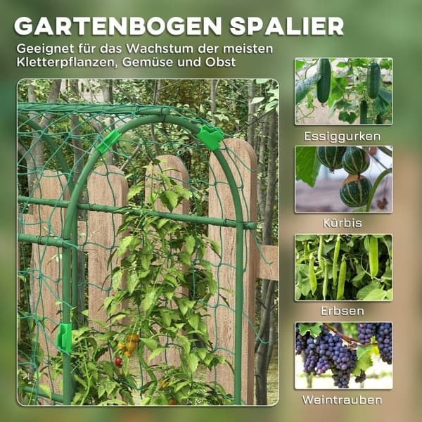 Rootz Large Bue Fuglenet - Klatrebue - Haveespalier - Nem montering - Holdbart stål - 43cm x 182cm x 183cm