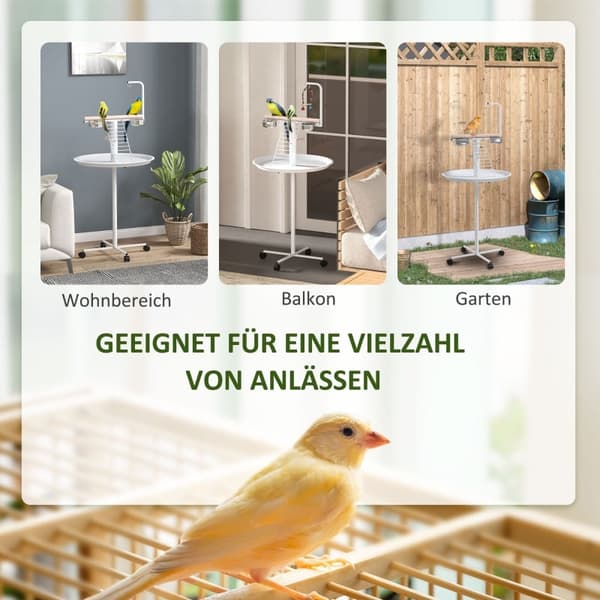 Rootz Bird Table - Bird Abborre Stativ - Papegoja Lekställ - Stål & Trä - 2 skålar i rostfritt stål - Bärbar - 60cm x 138cm