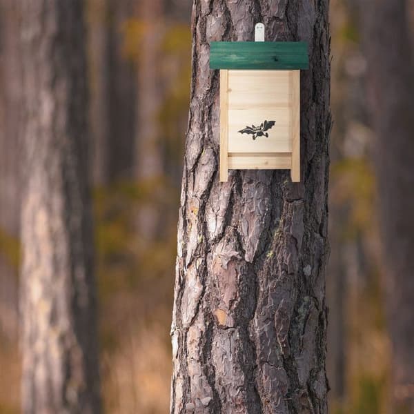 Relaxdays, Fladdermushus, Hus, Obehandlat Gran, Box, HxBxD: 25,5 x 18 x 6 cm, Natur/Grön