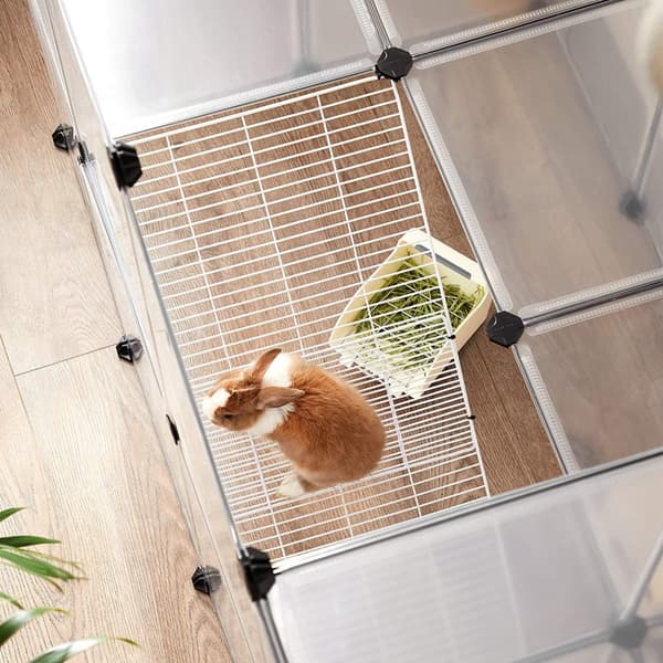 Dyrebur - udendørs boliger til hamster, marsvin, kanin - gennemsigtig